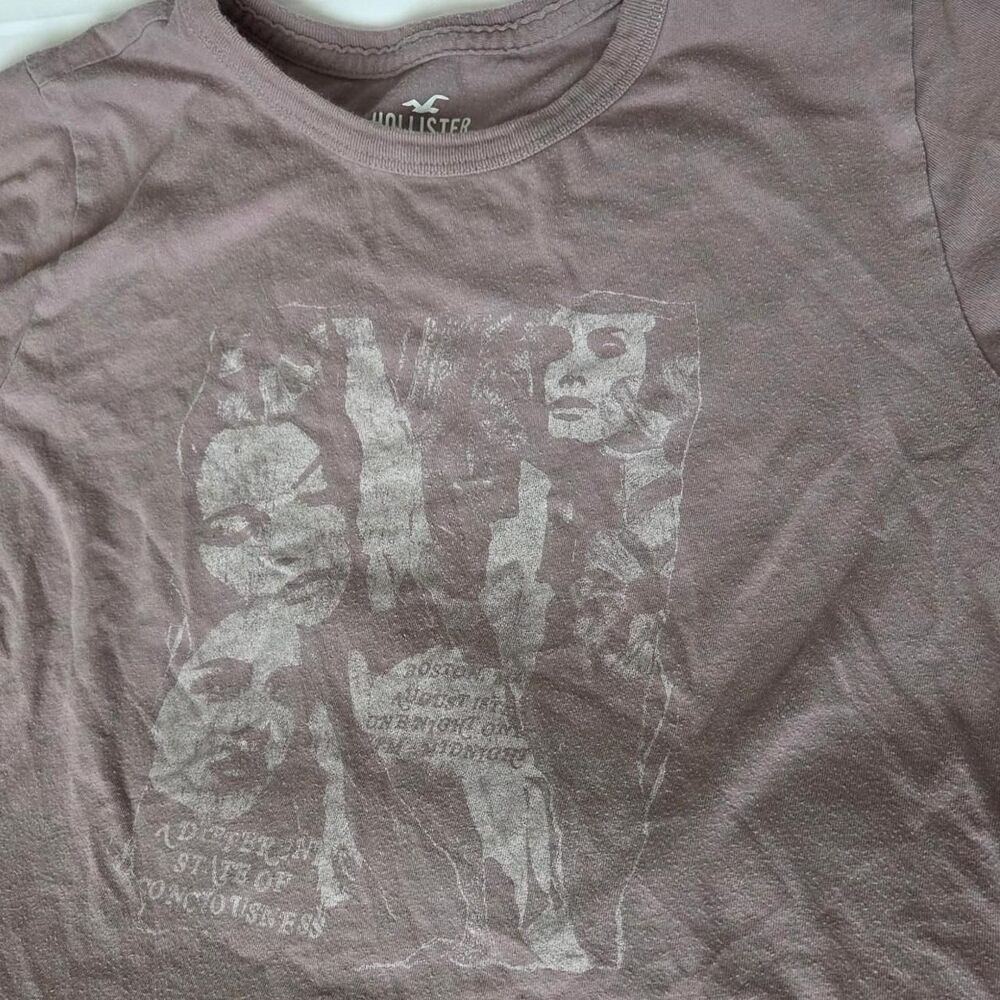 Hollister-co  Pink and Purple T-shirt